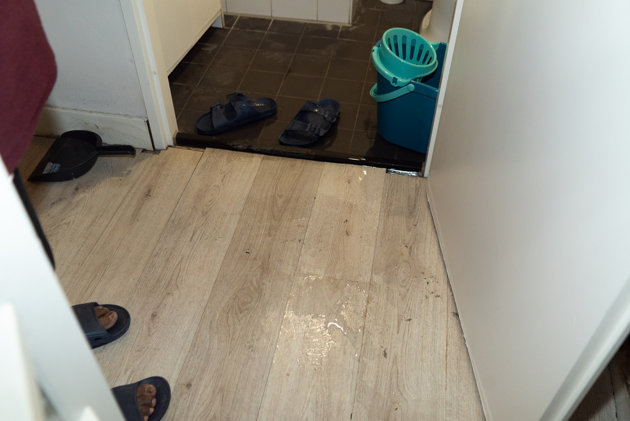 Schoen voor in discount huis