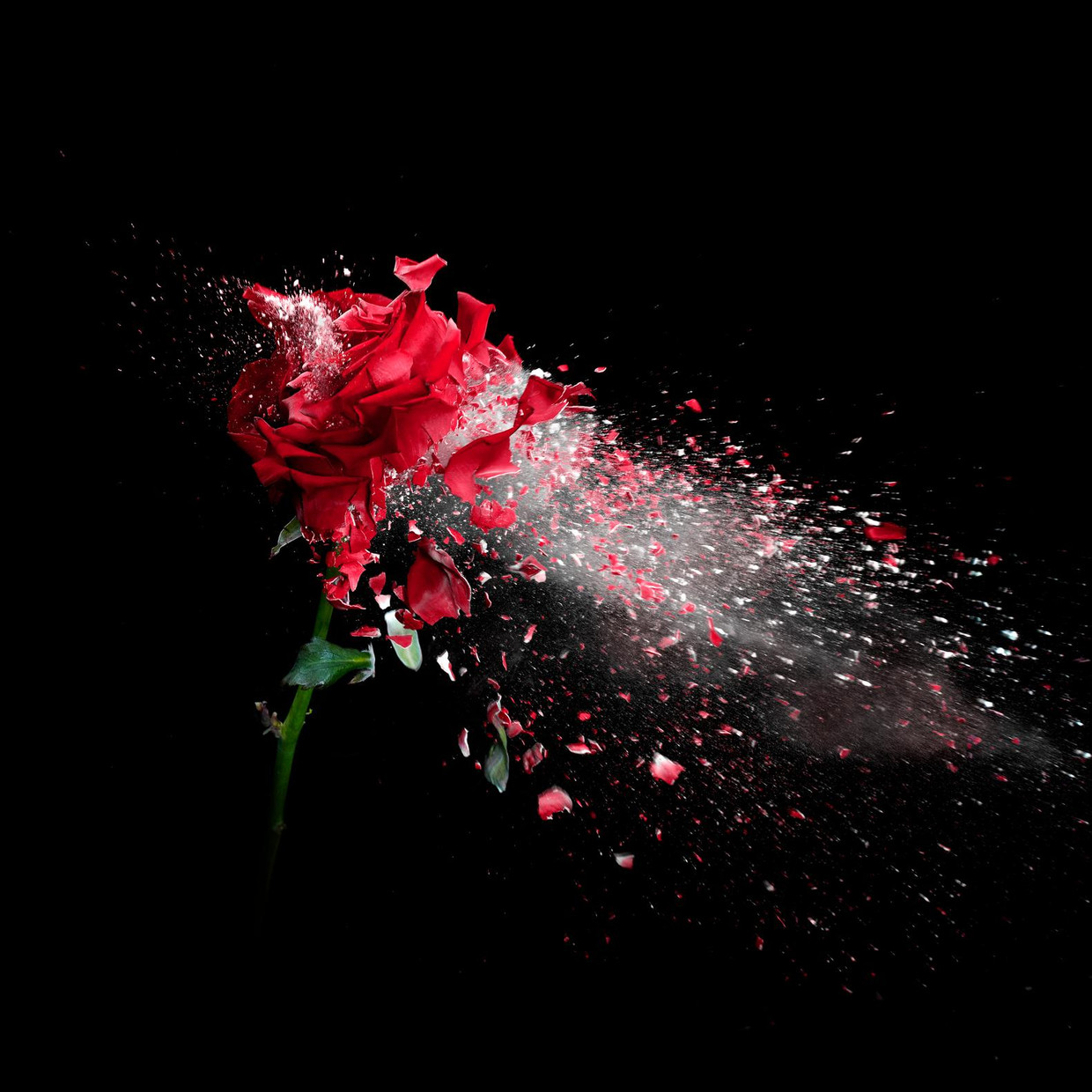 Immagine vuota Martin Waters/Getty Images