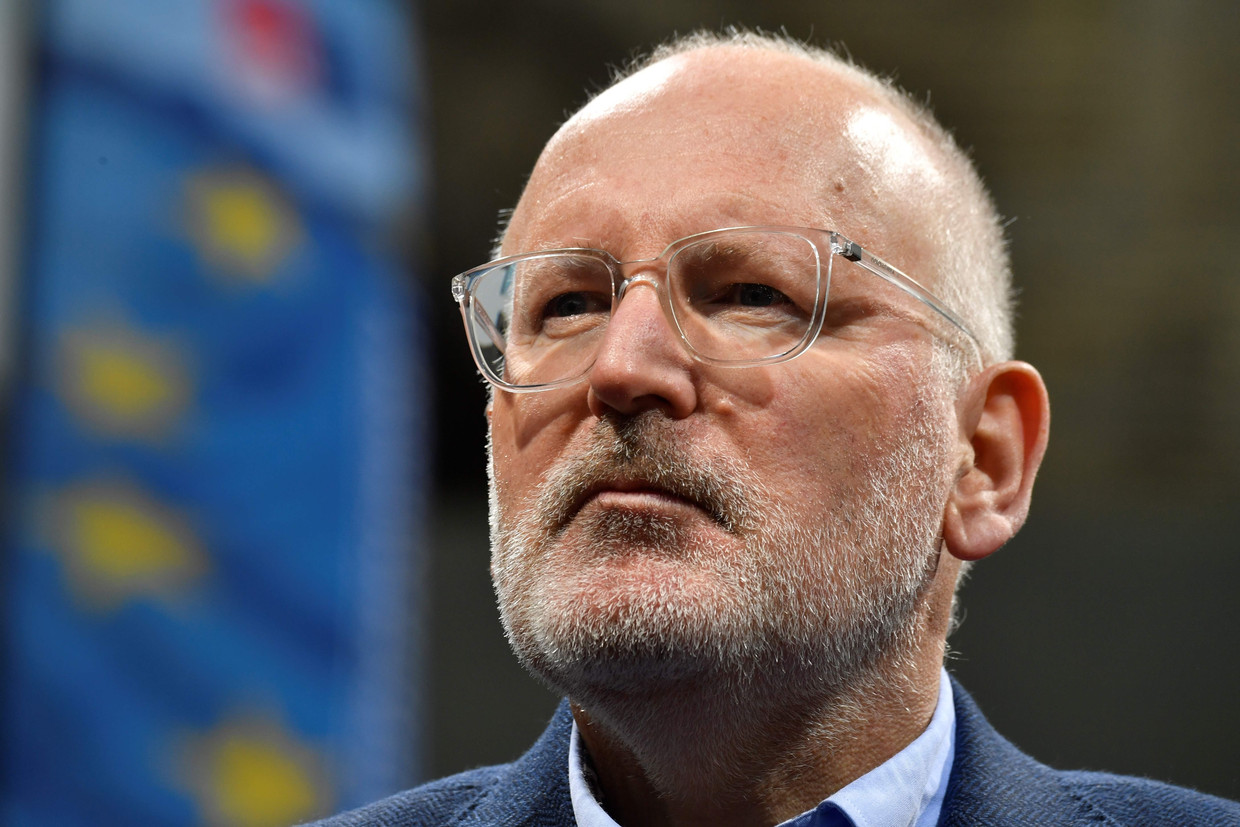 Timmermans schoenen online