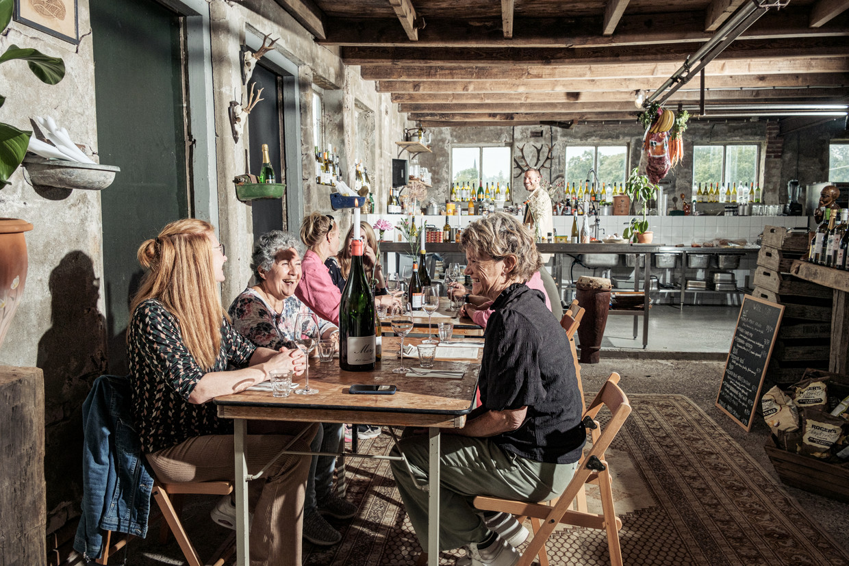 Statua dell'Hof Elbenstein di Jacob van Vliet